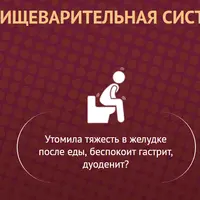 Здоровье пищеварительной системы. Программа восстановления