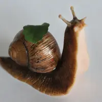 Мастер-класс по созданию реалистичной улитки