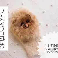 Звероварежка. Шпиц - нашивка на варежки