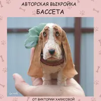 Выкройка бассета