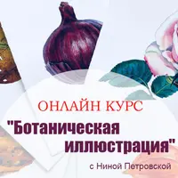 Ботанические иллюстрации