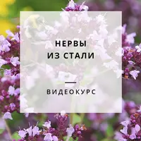 Стальные нервы