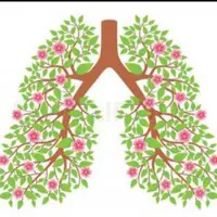 Повышаем иммунитет. Избавляемся от простуды, астмы, аллергии