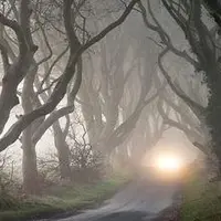 Жизнь без паразитов