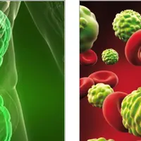 Комплексная программа домашнего очищения от грибов и паразитов
