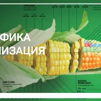 Инфографика и визуализация данных + Ментальные карты