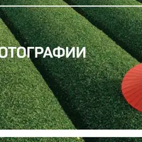 Цвет в фотографии + Оформление: что делать с фотографиями?