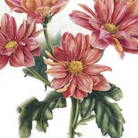 Ботаническая акварель