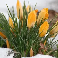 Сила марта. Славянская магия