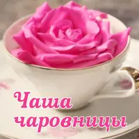 Чаша чаровницы