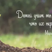 Карточки Монтессори: наборы для развития речи и навыков чтения