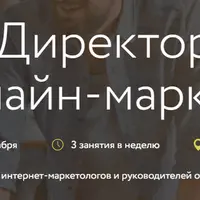 Директор по онлайн-маркетингу