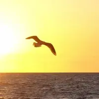 Новая энергия в народном хозяйстве