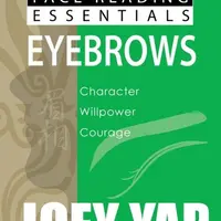 Основы физиогномики. Брови