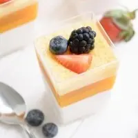 Диетическая Панакота