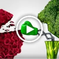 Питание как фактор риска и профилактики рака