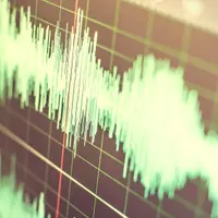 Голос победителя