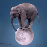 Новый Мир. Формат W6