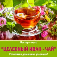 Травы, травы. Иван-чай