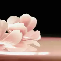 Муссовые торты