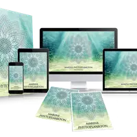 Морской Фитопланктон: аудиосистема и мандалы