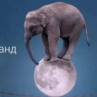 Новый Мир. Формат W7