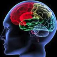 Заряди мозг за 10 минут. Активация обоих полушарий