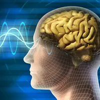 Нейрофизиология Успеха