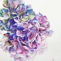 Выходной с художником. Гортензия