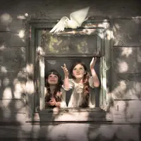 Особенности построения сюжетной и композитной линий в кадре