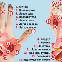 Диагностика по внешним признакам. Вебинар №2