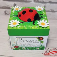 Меджик-боксы и шокобоксы