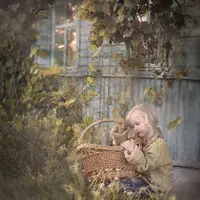 Цвет и свет: от живописи к фотографии