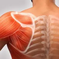 Работа с лопаткой