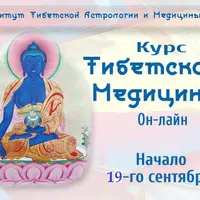 Курс тибетской медицины. Здоровье через баланс 5 элементов