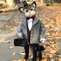 Кот по имени Шерлок