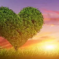 Транскрибация вебинара "Отношения"