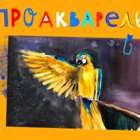 ПроАкварель