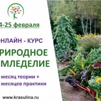 Природное земледелие