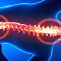 Как избавиться от боли в спине и шее: движение, дыхание и питание