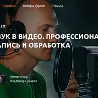 Звук в видео. Профессиональная запись и обработка