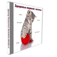 Успешная карьера. Грамотная речь. Здоровье нервной системы