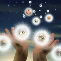 Фильм за 1000$