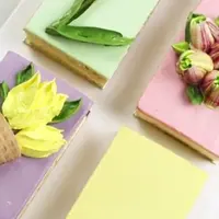 Тюльпаны Love