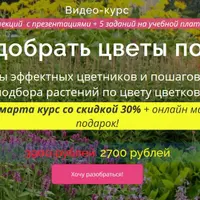 Как подобрать цветы по цвету