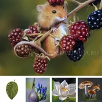 Ботаника в пастельной технике