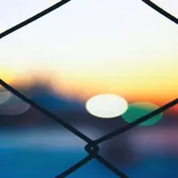 Заборы и тараканы. Ограничивающие убеждения, мешающие в бизнесе