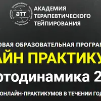 Стопа и голеностопный сустав