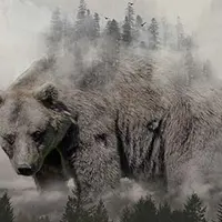 Adobe Photoshop СС. Инструменты дизайнера