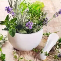 Весенние дикоросы